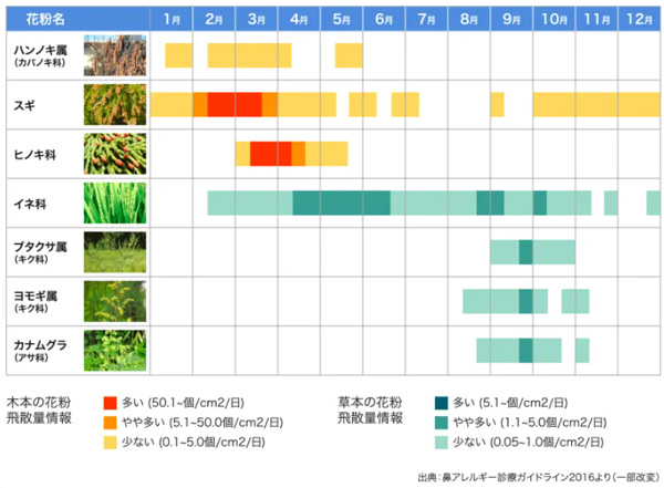 アレルギー　季節　花粉症